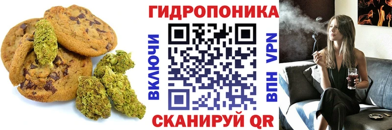 магазин продажи наркотиков  Шатура  Cannafood конопля 