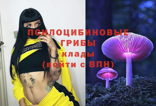ПСИЛОЦИБИНОВЫЕ ГРИБЫ Алзамай