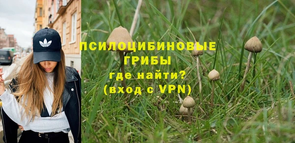 ПСИЛОЦИБИНОВЫЕ ГРИБЫ Алзамай