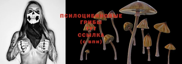 соль курить ск Алексеевка
