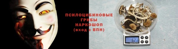 ПСИЛОЦИБИНОВЫЕ ГРИБЫ Алзамай