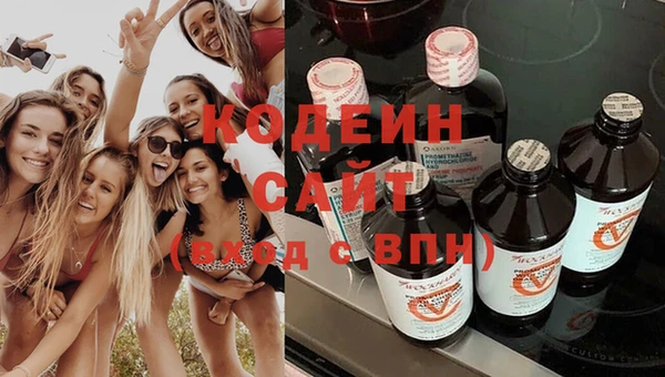 ПСИЛОЦИБИНОВЫЕ ГРИБЫ Алзамай
