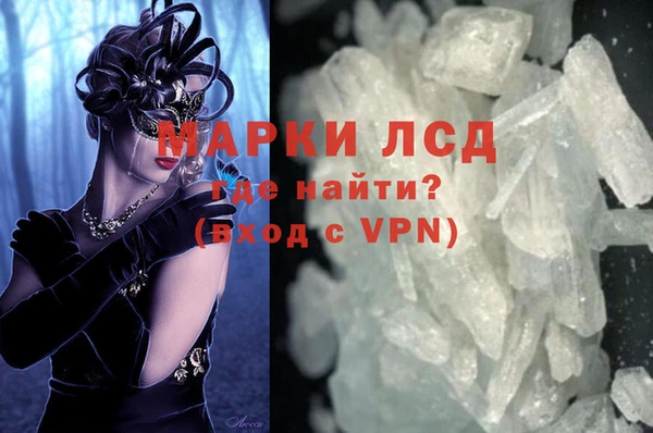 ПСИЛОЦИБИНОВЫЕ ГРИБЫ Алзамай