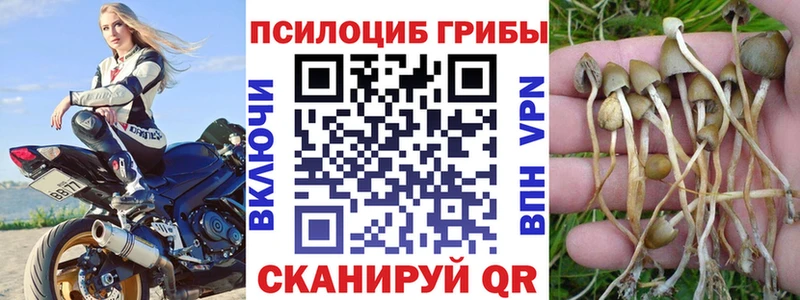 Галлюциногенные грибы мицелий  Шатура 
